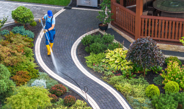 Best Affordable Power Washing  in Kane, PA
